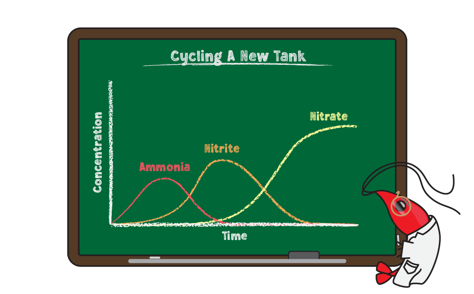 ammonia, nitrite, and nitrate levels while cycling