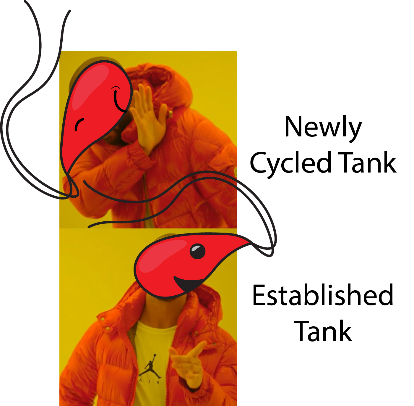 Cycled vs established tank