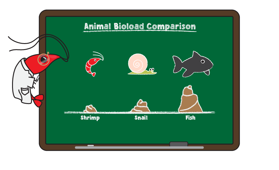 bio-load comparison of shrimp, fish, and snails