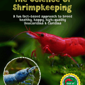 The Science of Shrimp Keeping