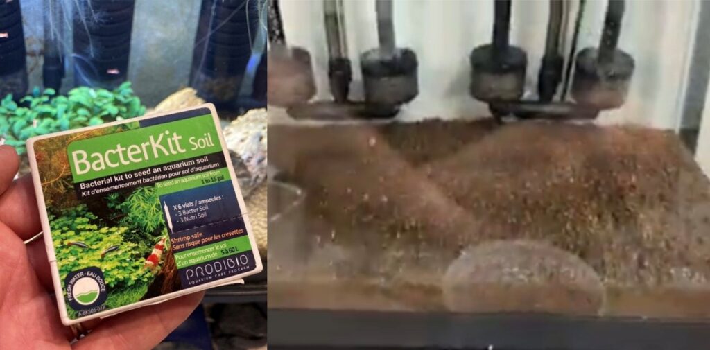 Add BacterSoil to shrimp tank