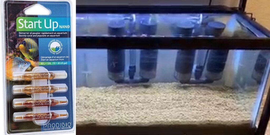 Add Prodibio Start Up to the shrimp tank